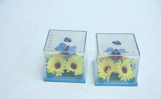 廠家直銷，精選韓版毛絨玩具 從婚慶公仔到潮流大號娃娃的全方位指南